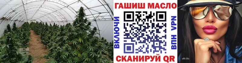ТГК THC oil  купить наркотики сайты  МЕГА   Катав-Ивановск 