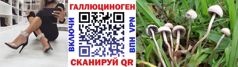 Галлюциногенные грибы GOLDEN TEACHER Катав-Ивановск